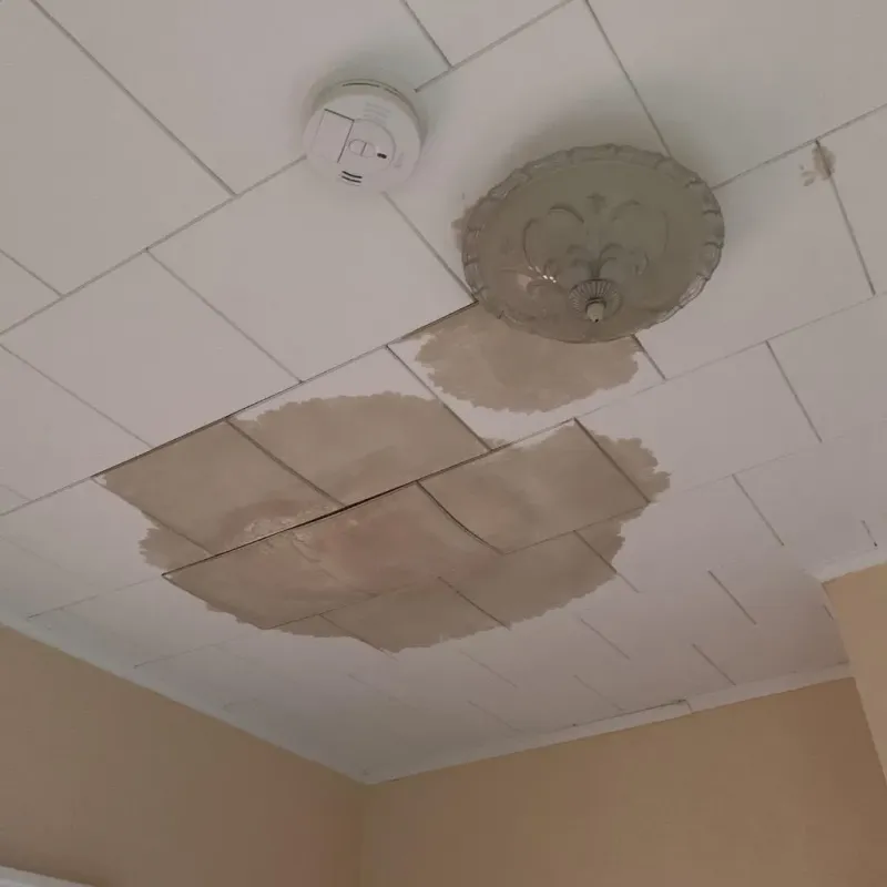 Ceiling Water Damage Repair in Ellsworth, ME