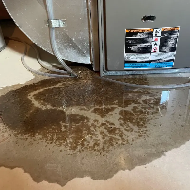 Pipe Burst and Leak Restoration in Ellsworth, ME